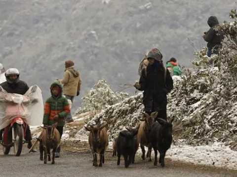 Dự báo thời tiết miền Bắc ngày mai 4/1: Vùng núi phía Bắc rét đậm, rét hại, có nơi dưới 11 độ