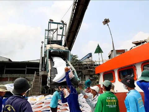 Năm 2025, chuyển mạnh sang chế biến sâu để gia tăng xuất khẩu