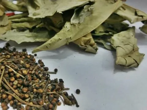 4 loại lá mọc đầy vườn, phơi khô trị bách bệnh, nhiều người không biết vứt đi uổng quá