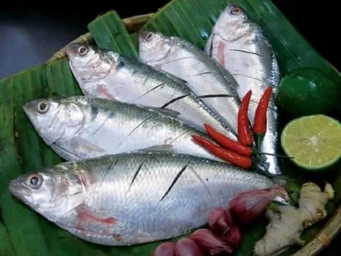 4 loại cá Việt bổ không kém cá hồi, mua đâu cũng có, giá cả lại phải chăng