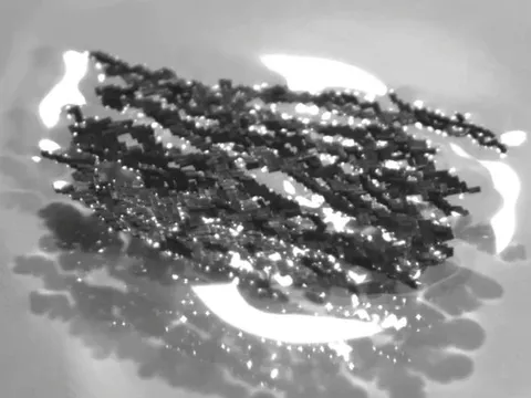 "Robot kiến" hứa hẹn thành công cụ y khoa đột phá