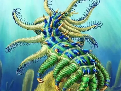 'Ớn lạnh' trước tàn tích của sinh vật giống ‘người ngoài hành tinh’ có gai và các chi có thể quẫy đạp