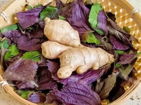 Tía tô và gừng là sự kết hợp hoàn hảo, có rất nhiều lợi ích mà bạn thậm chí không thể mua được bằng tiền