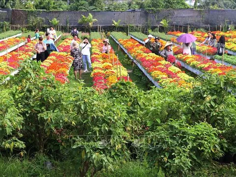 Điểm đến du lịch làng nghề truyền thống - Bài cuối: Chung tay 'níu chân' du khách