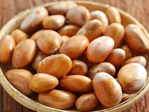 Loại hạt ở Việt Nam ‘cho không ai lấy’, sang Nhật Bản giá đắt hơn cả thịt, là đặc sản được lùng mua