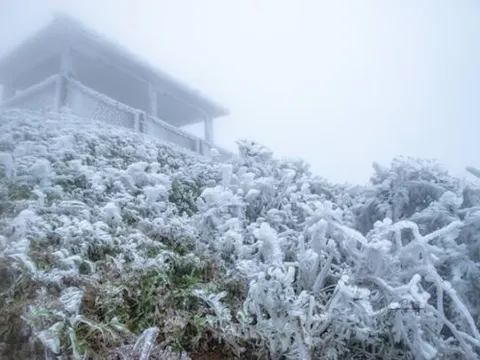 Đợt không khí lạnh mạnh nhất: Miền Bắc nhiều nơi dưới 1 độ C, Hà Nội lạnh nhất từ đầu mùa đông