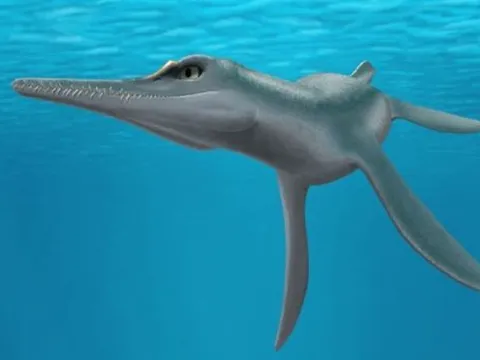 Khoa học thế giới sửng sốt phát hiện quái vật 80 triệu tuổi, có ngoại hình dị hợm nhìn giật mình