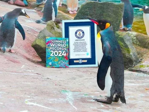 Con vật duy nhất trên thế giới đạt Kỷ lục Guinness vì mang hàm Thiếu tướng, đường binh nghiệp đầy rực rỡ