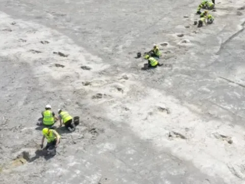 "Thế giới đã mất" hiện ra giữa mỏ đá, gây sốc cho khoa học