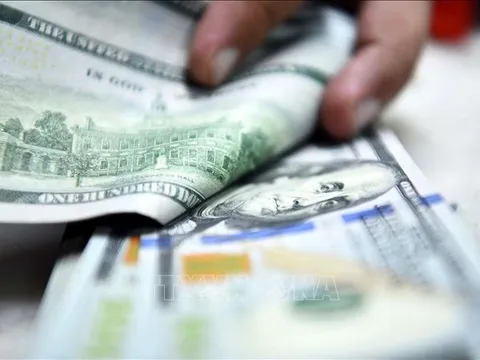 Kiều hối chuyển về TP Hồ Chí Minh đạt hơn 9,5 tỷ USD