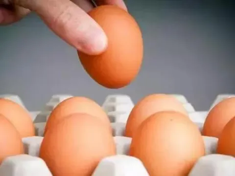 Bác sĩ cảnh báo nên ngừng ăn 'trứng đã rửa sạch', nó có thể gây hại cho gan hơn là uống rượu, đừng coi thường