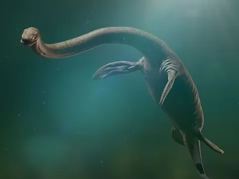 Bí ẩn Quái vật Loch Ness có thể được giải mã – Nhà khoa học Oxford tiết lộ lời giải đơn giản cho những lần nhìn thấy sinh vật huyền thoại
