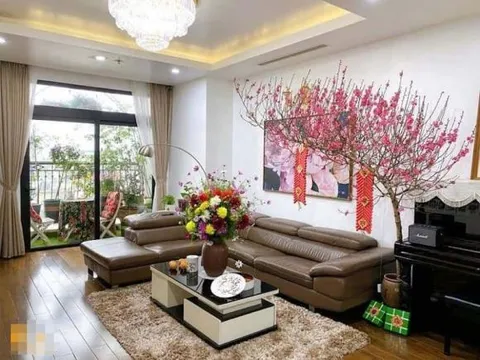 Trưng quất, đào, mai ngày Tết thế nào cho đúng phong thủy? Người mệnh Kim, Thủy nên chọn quất hay đào để đắc lộc cả năm?