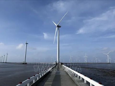 Xây dựng thị trường carbon hướng đến phát triển bền vững