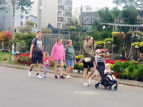 Dịp Tết, Đà Nẵng đón gần nửa triệu lượt du khách