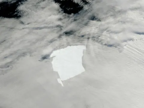 Điều kỳ lạ về tảng băng lớn nhất thế giới khiến nhiều người bất ngờ