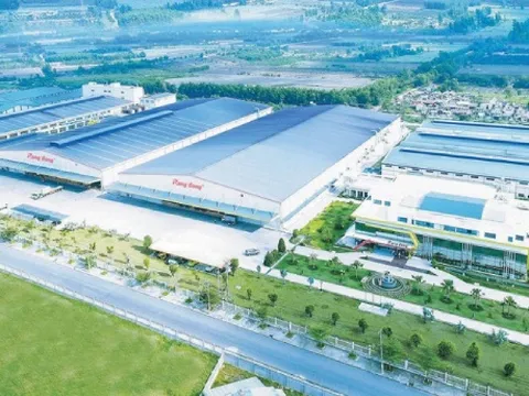 Rạng Đông Holding RDP lại bị nhắc nhở chậm nộp báo cáo tài chính 