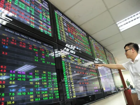 Cổ phiếu LEC nguy cơ bị hủy niêm yết