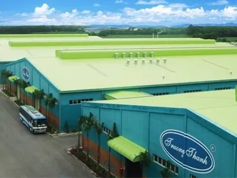 Gỗ Trường Thành TTF giải trình khắc phục tình trạng chứng khoán bị cảnh báo 