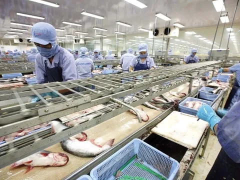 Xuất khẩu thuỷ sản: Khởi sắc đầu năm nay nhưng đối diện nhiều thách thức 