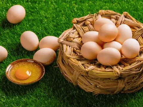 Trứng nào bổ dưỡng hơn: Trứng gà, trứng vịt, trứng ngỗng hay trứng cút? Và đây là câu trả lời...