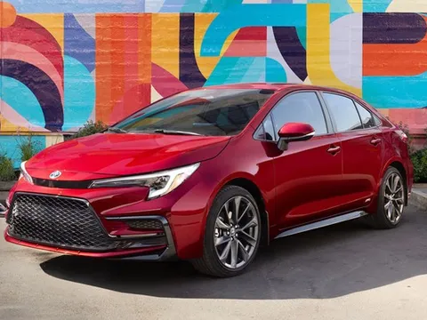 Top 10 quốc gia tiêu thụ ô tô nhiều nhất thế giới năm 2024