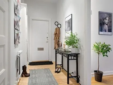 Bạn phải đặt những linh vật này trong nhà vì chúng cho thấy rằng bạn càng sống lâu thì bạn sẽ càng giàu có