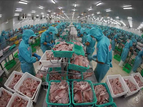 Hàng hóa Việt Nam không cạnh tranh với doanh nghiệp Mỹ