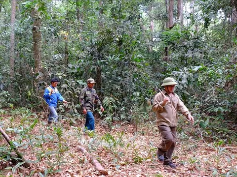Phát triển bền vững nông nghiệp vùng Đông Nam Bộ - Bài cuối: 'Mỏ vàng' tín chỉ carbon