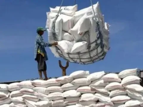 Giá gạo xuất khẩu dự báo sớm tăng trở lại