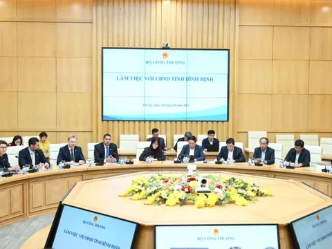 Doanh nghiệp Thuỵ Điển muốn đầu tư 1 tỷ USD vào dự án sản xuất vải tại Bình Định