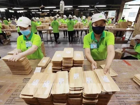 Ngành gỗ gặp khó trước áp lực tiêu chuẩn xanh