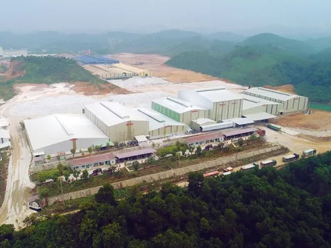 Cổ phiếu tăng trần 5 phiên liên tiếp, Khoáng sản Công nghiệp Yên Bái cam kết 'không có bất kỳ tác động nào'