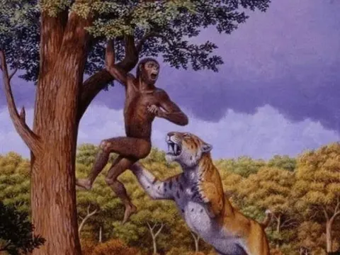 Con người đều do phụ nữ sinh ra, vậy trước khi nhân loại xuất hiện, người phụ nữ đầu tiên đến từ đâu?