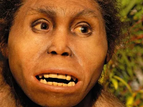 Sinh vật tông Người bí ẩn khai phá Âu - Á 2 triệu năm trước?