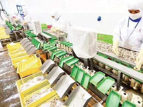 Lối đi nào cho doanh nghiệp trước những điều chỉnh chính sách lớn của EU? 