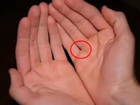 Khi ghép các ngón tay lại với nhau thì có bao nhiêu lỗ? Hóa ra nó có thể phản ánh cả tính cách và mức độ giàu có của bạn
