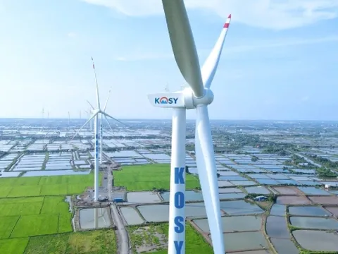 Kosy làm ăn ra sao trước khi bị xử phạt, truy thu gần 7 tỷ đồng thuế?