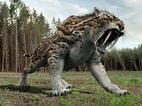 Hé lộ loài quái thú từng suýt xóa sổ tổ tiên con người chúng ta