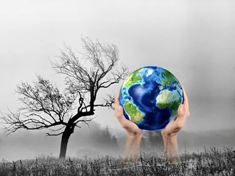 Khởi động chương trình hỗ trợ startup phát triển giải pháp chống lại biến đổi khí hậu