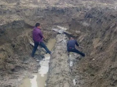 Lão nông đào được khúc gỗ lạ, cảnh sát lập tức phong tỏa hiện trường, chuyên gia tiết lộ giá trị 'không tưởng' 