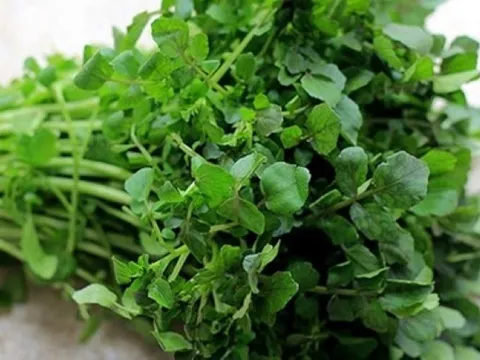Những loại rau dễ là nơi "tổ ký sinh trùng" ẩn náu, loại số 1 nhiều người mê