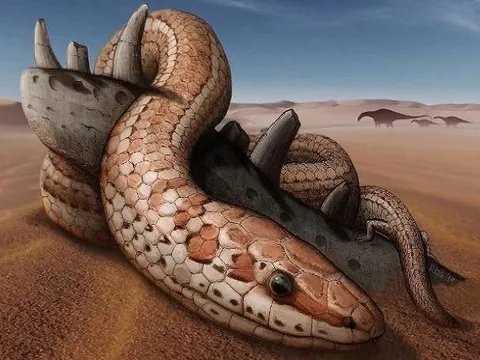 Bí ẩn về tổ tiên loài rắn, từ động vật dưới nước tới trên cạn