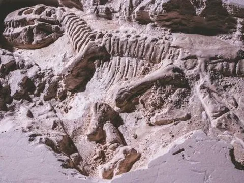 Hành trình phát hiện khủng long, từ những hóa thạch đầu tiên tới khoa học cổ sinh vật bí ẩn