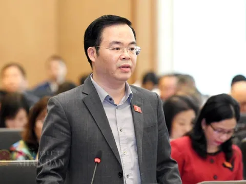 Quản lý quá thận trọng khiến doanh nghiệp ngại thử nghiệm công nghệ mới