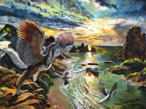 Khám phá hóa thạch "điểu long" 150 triệu năm tuổi – quái vật cổ đại giữa chim và khủng long