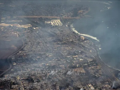 Nhà khoa học cảnh báo Mỹ có thể đối mặt với mưa axit do các quyết sách mới của chính quyền Tổng thống Trump