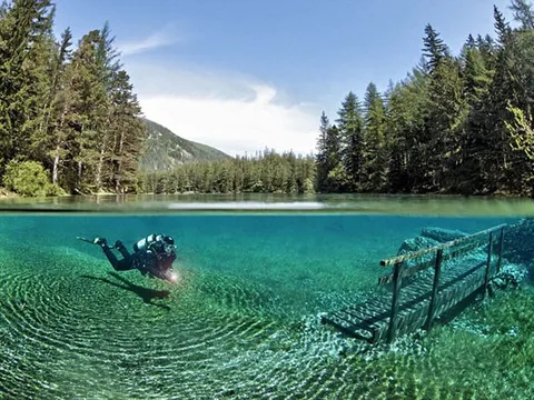 Tại sao nước tự nhiên không có hạn sử dụng, nhưng nước đóng chai lại có?