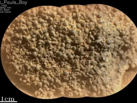 NASA phát hiện "ổ trứng nhện" bí ẩn trên sao Hỏa: Dấu hiệu của sự sống cổ đại?