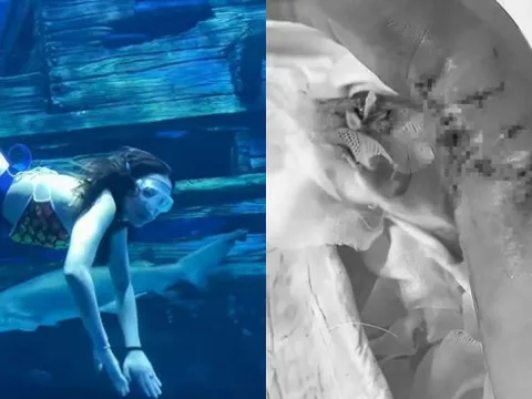 ‘Nàng tiên cá’ bị cá mập tấn công đến tàn phế trong thủy cung